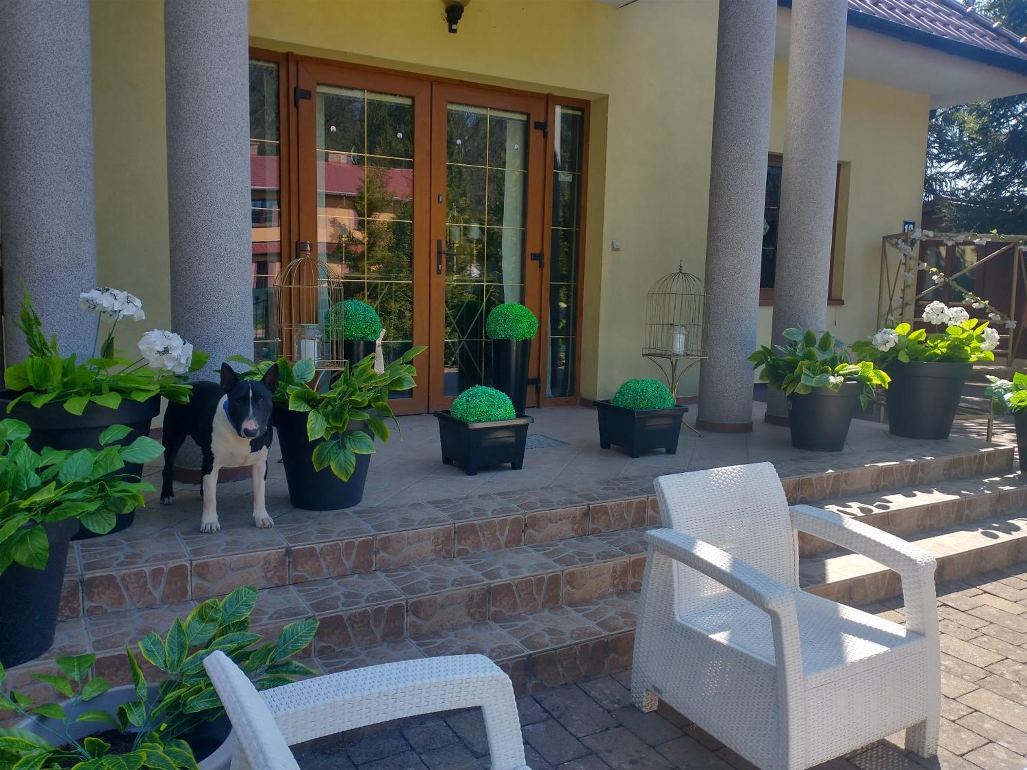 מלון Korab Wiselka & Spa מראה חיצוני תמונה